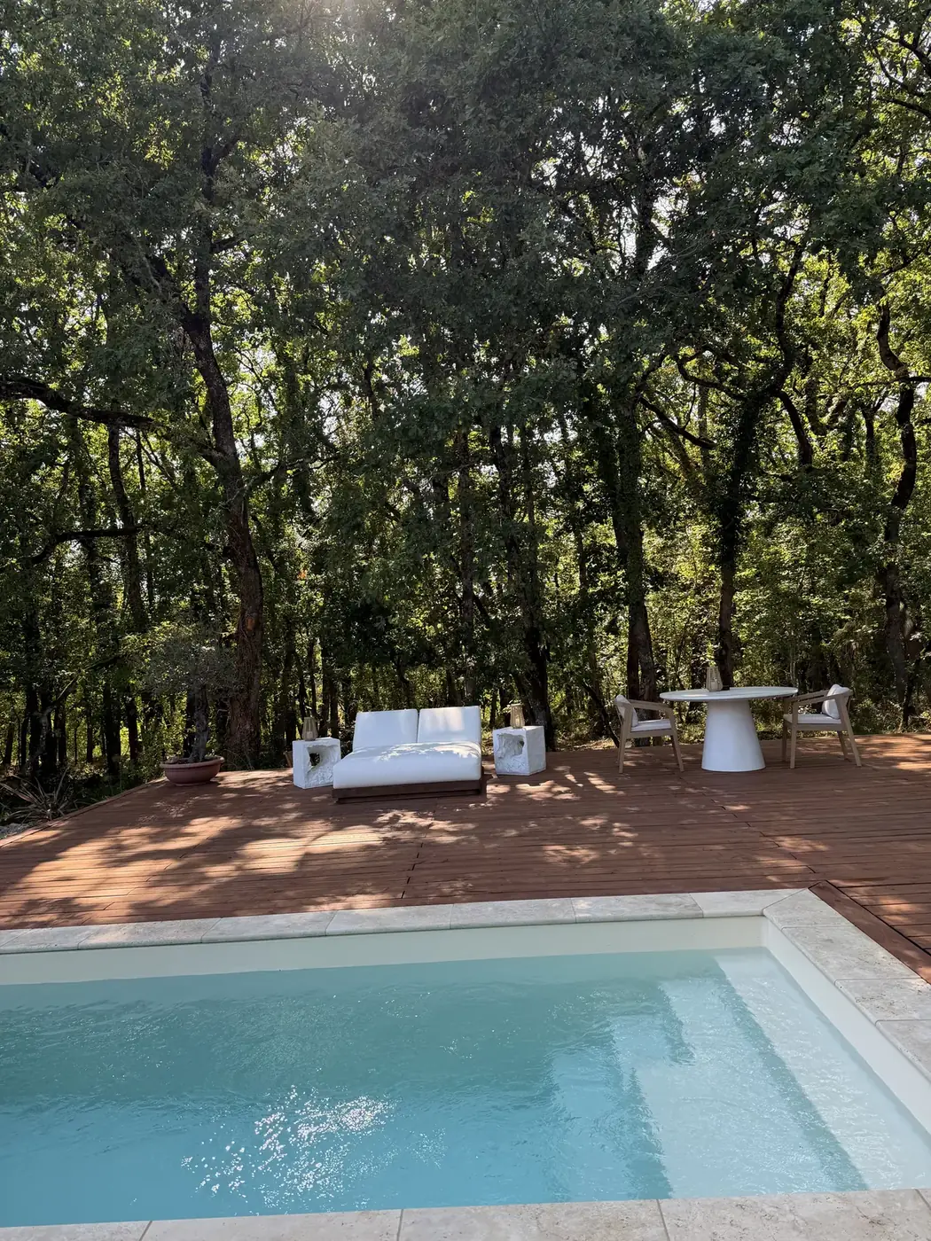 La piscine chauffée et la terrasse vues depuis les arbres