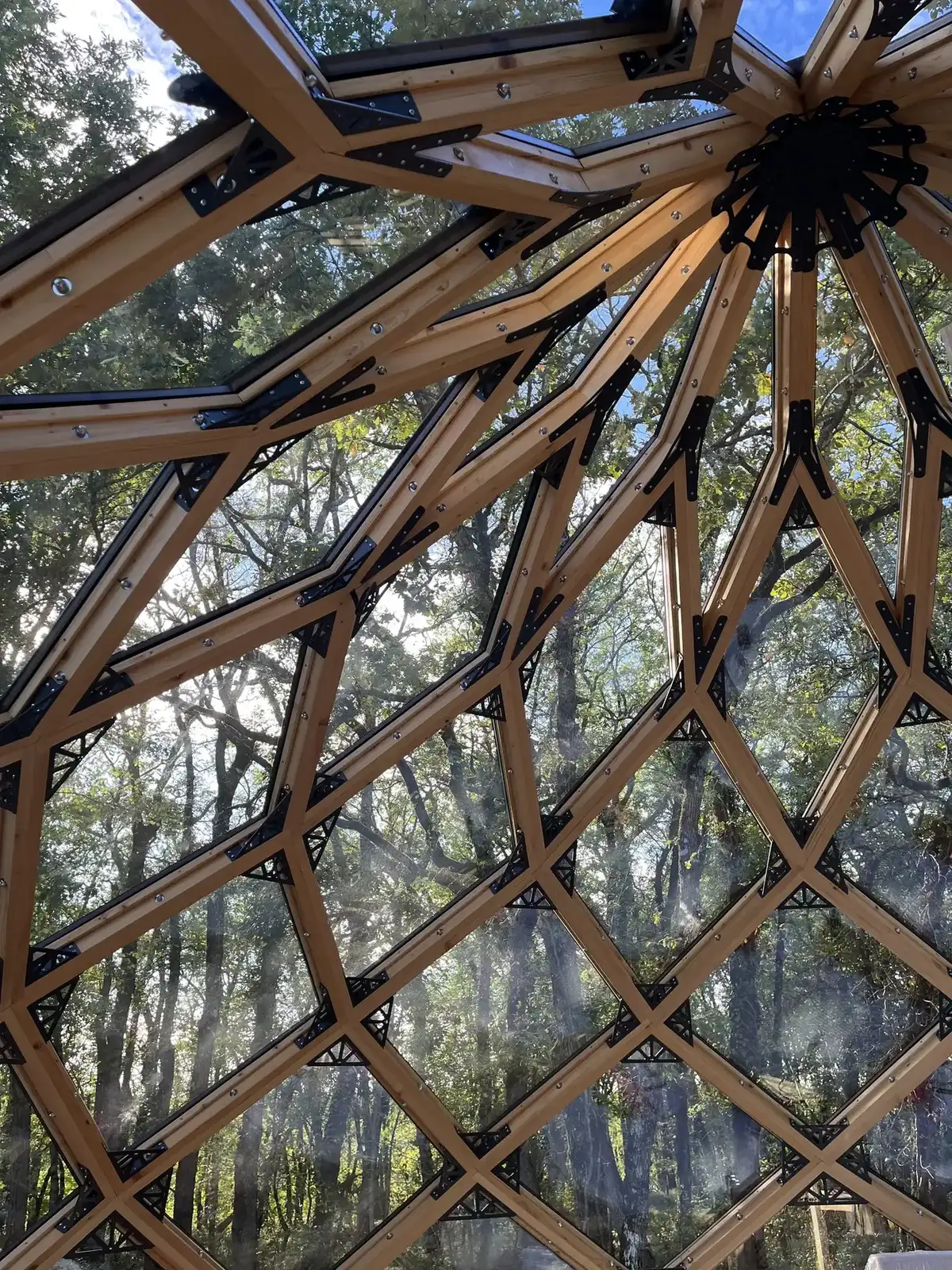 La voûte de bois et de verre du Zôme vue de l'intérieur, la forêt tout autour